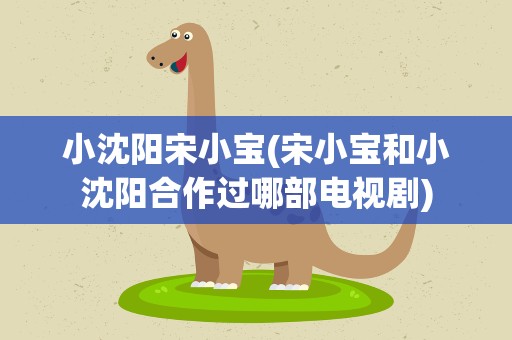 小沈阳宋小宝(宋小宝和小沈阳合作过哪部电视剧)