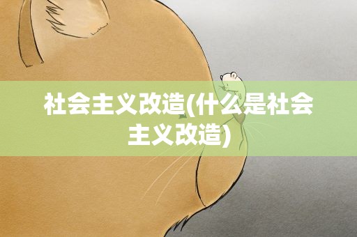 社会主义改造(什么是社会主义改造)