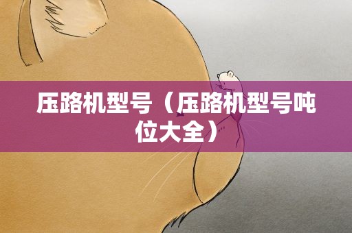 压路机型号（压路机型号吨位大全）