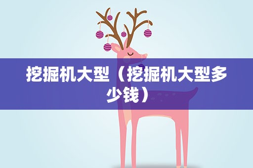 挖掘机大型（挖掘机大型多少钱）