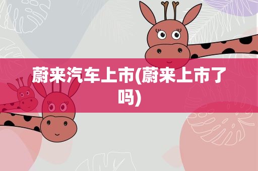 蔚来汽车上市(蔚来上市了吗)