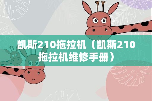 凯斯210拖拉机（凯斯210拖拉机维修手册）