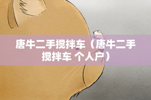 唐牛二手搅拌车（唐牛二手搅拌车 个人户）