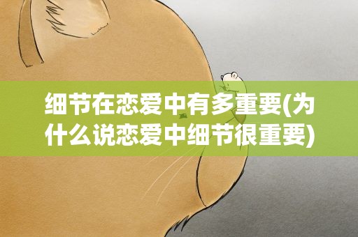 细节在恋爱中有多重要(为什么说恋爱中细节很重要)