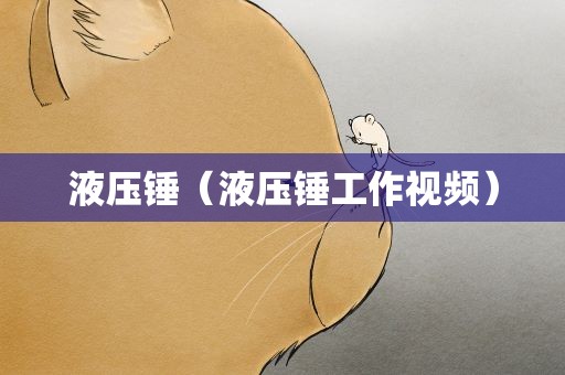 液压锤（液压锤工作视频）