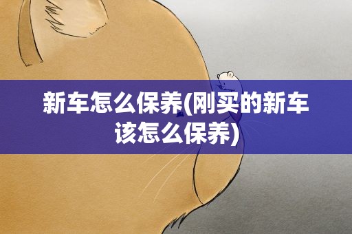 新车怎么保养(刚买的新车该怎么保养)