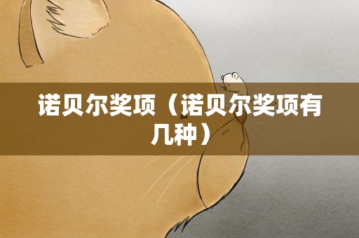 诺贝尔奖项（诺贝尔奖项有几种）
