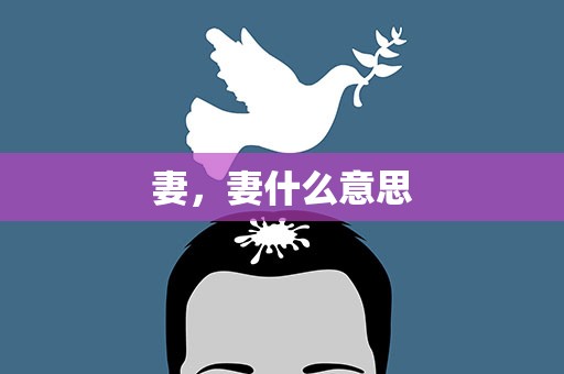 妻，妻什么意思