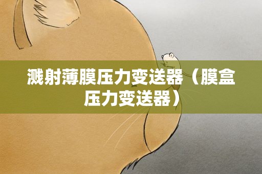 溅射薄膜压力变送器（膜盒压力变送器）