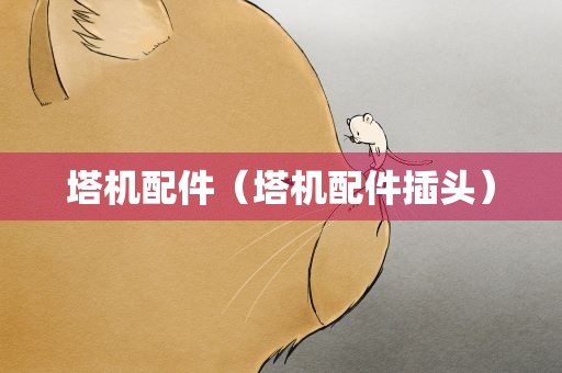 塔机配件（塔机配件插头）