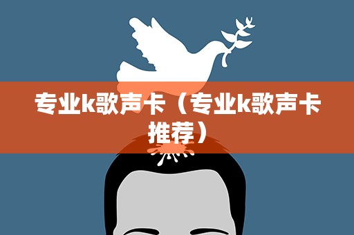 专业k歌声卡（专业k歌声卡推荐）