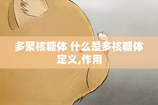 多聚核糖体 什么是多核糖体定义,作用