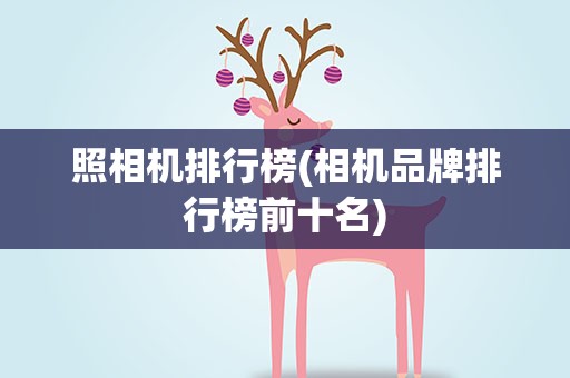 照相机排行榜(相机品牌排行榜前十名)