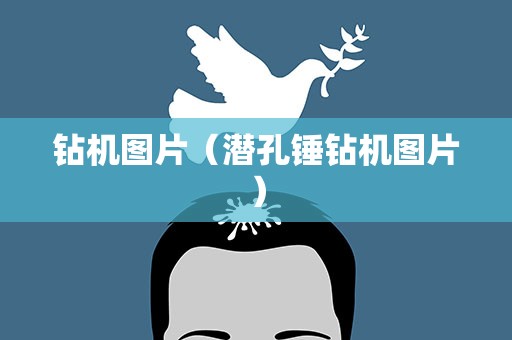 钻机图片（潜孔锤钻机图片）