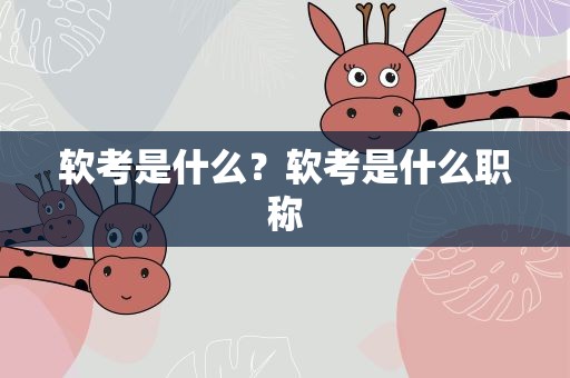 软考是什么？软考是什么职称