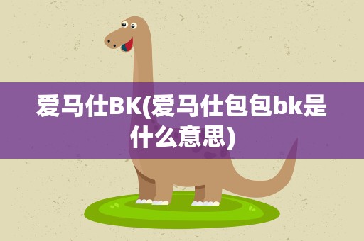 爱马仕BK(爱马仕包包bk是什么意思)