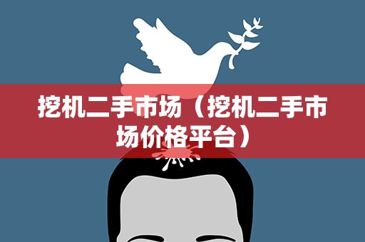 挖机二手市场（挖机二手市场价格平台）