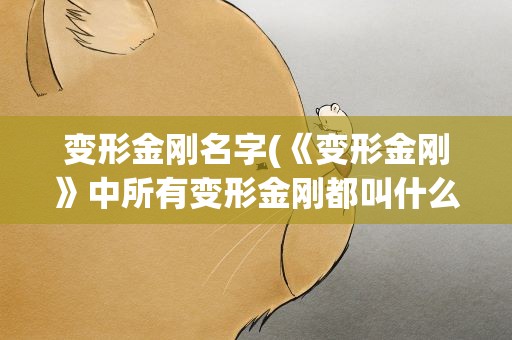 变形金刚名字(《变形金刚》中所有变形金刚都叫什么名字)