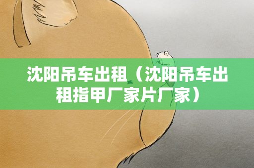 沈阳吊车出租（沈阳吊车出租指甲厂家片厂家）