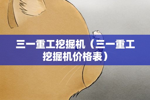 三一重工挖掘机（三一重工挖掘机价格表）