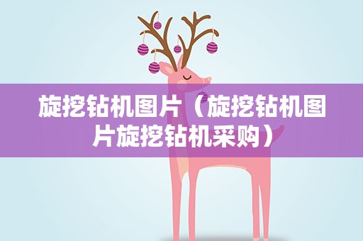 旋挖钻机图片（旋挖钻机图片旋挖钻机采购）