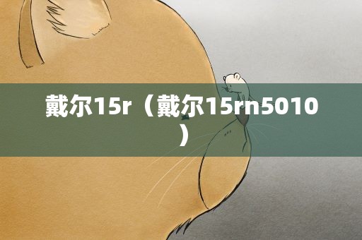 戴尔15r（戴尔15rn5010）