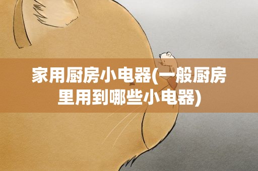 家用厨房小电器(一般厨房里用到哪些小电器)