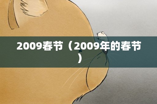 2009春节（2009年的春节）