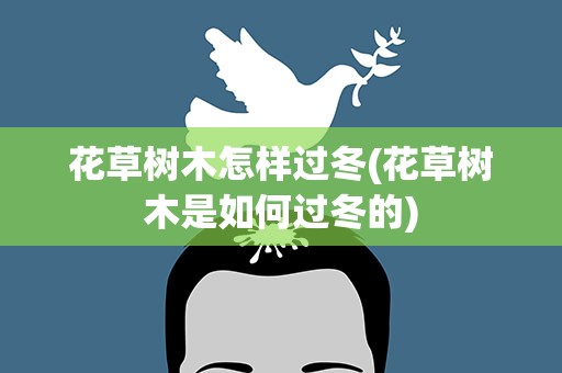 花草树木怎样过冬(花草树木是如何过冬的)
