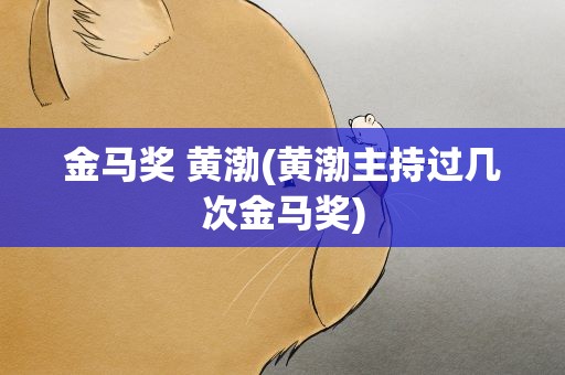 金马奖 黄渤(黄渤主持过几次金马奖)