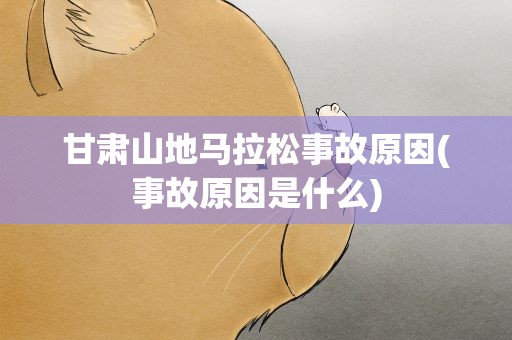甘肃山地马拉松事故原因(事故原因是什么)