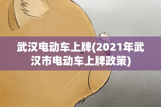 武汉电动车上牌(2021年武汉市电动车上牌政策)