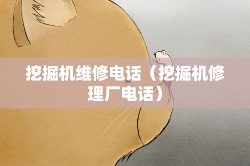 挖掘机维修电话（挖掘机修理厂电话）