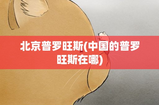北京普罗旺斯(中国的普罗旺斯在哪)