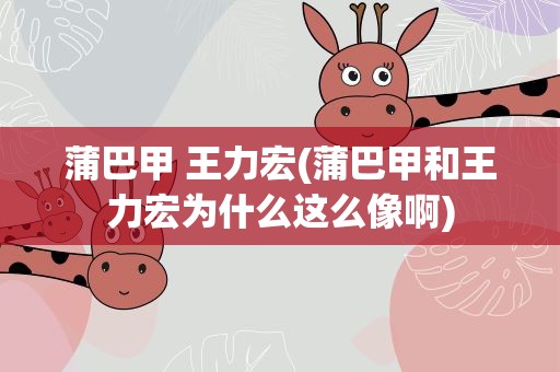 蒲巴甲 王力宏(蒲巴甲和王力宏为什么这么像啊)