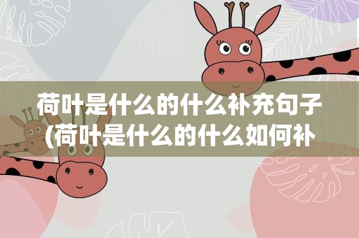 荷叶是什么的什么补充句子(荷叶是什么的什么如何补充句子)