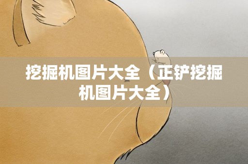 挖掘机图片大全（正铲挖掘机图片大全）