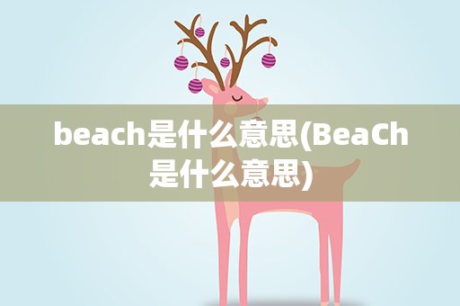 beach是什么意思(BeaCh是什么意思)