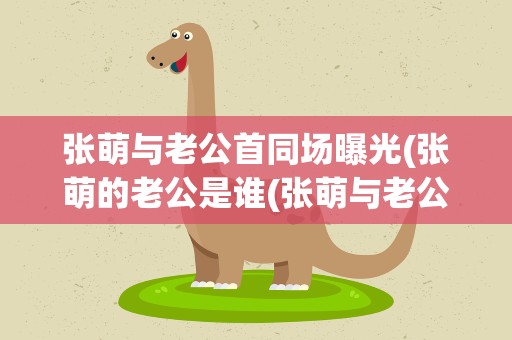 张萌与老公首同场曝光(张萌的老公是谁(张萌与老公首次公开走机场))