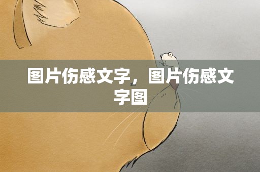 图片伤感文字，图片伤感文字图
