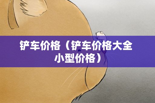 铲车价格（铲车价格大全 小型价格）