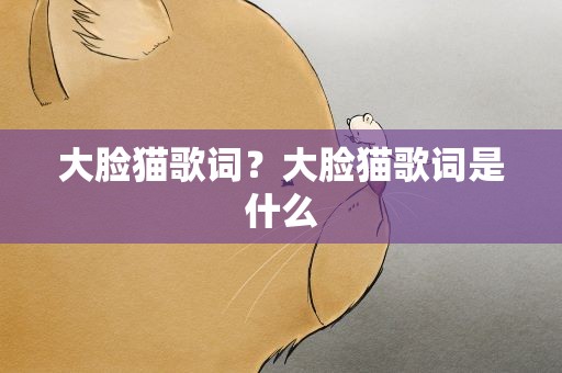 大脸猫歌词？大脸猫歌词是什么