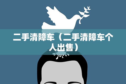 二手清障车（二手清障车个人出售）