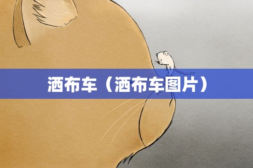 洒布车（洒布车图片）