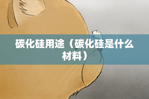 碳化硅用途（碳化硅是什么材料）