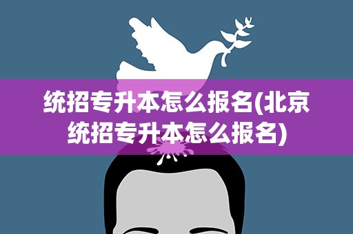 统招专升本怎么报名(北京统招专升本怎么报名)