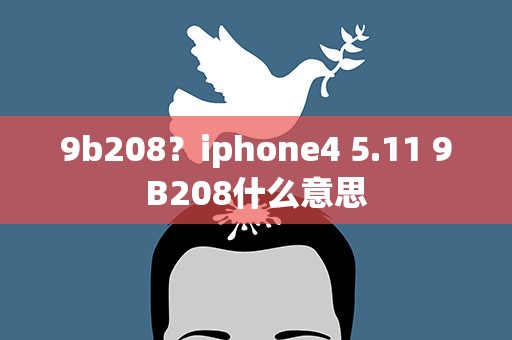 9b208？iphone4 5.11 9B208什么意思