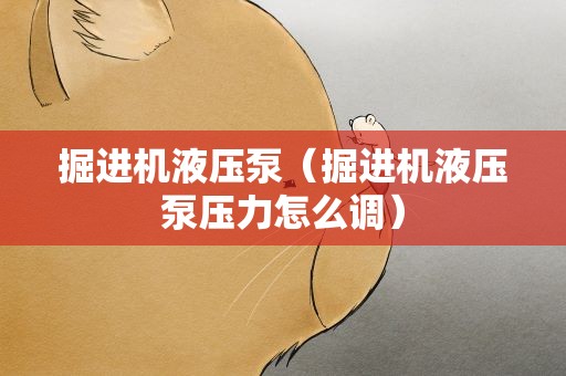 掘进机液压泵（掘进机液压泵压力怎么调）