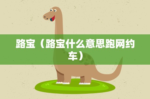 路宝（路宝什么意思跑网约车）