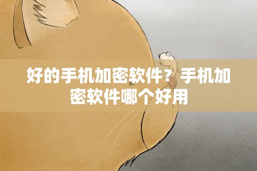 好的手机加密软件？手机加密软件哪个好用